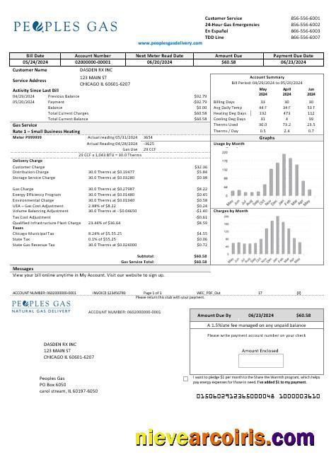 USA Illinois Peoples Gas business utility bill